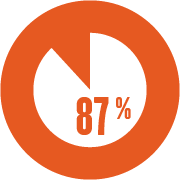 87% icon